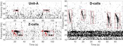 Antarctic sonobuoy surveys for blue whales from 2006-2021 reveal contemporary distribution, changes over time, and paths to further our understanding of their distribution and biology